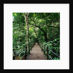 Wooden Bridge Thailand by Anonymous