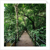 Wooden Bridge Thailand by Anonymous