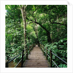 Wooden Bridge Thailand by Anonymous