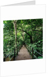 Wooden Bridge Thailand by Anonymous