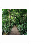 Wooden Bridge Thailand by Anonymous