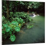 Waterfall Thailand by Anonymous