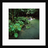 Waterfall Thailand by Anonymous