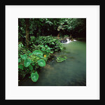 Waterfall Thailand by Anonymous