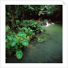 Waterfall Thailand by Anonymous