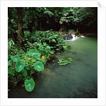 Waterfall Thailand by Anonymous