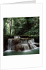 Waterfall Thailand by Anonymous