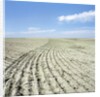 Dry furrowed farmland by Anonymous