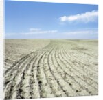 Dry furrowed farmland by Anonymous