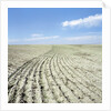 Dry furrowed farmland by Anonymous