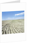 Dry furrowed farmland by Anonymous