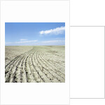Dry furrowed farmland by Anonymous