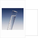 Bubbling Liquid in Test Tube by Anonymous