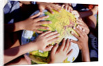 Children's Hands on Inflatable Globe by Anonymous