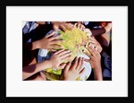Children's Hands on Inflatable Globe by Anonymous