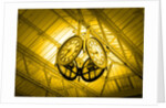 Clocks Hanging from Ceiling by Anonymous