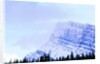 Snow-Covered Mountain Above Tree Line by Anonymous