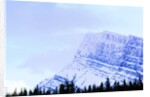 Snow-Covered Mountain Above Tree Line by Anonymous