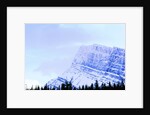 Snow-Covered Mountain Above Tree Line by Anonymous