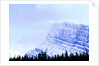Snow-Covered Mountain Above Tree Line by Anonymous