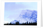 Snow-Covered Mountain Above Tree Line by Anonymous