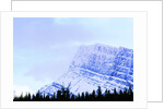 Snow-Covered Mountain Above Tree Line by Anonymous