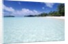 Tropical Beach by Anonymous