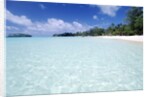 Tropical Beach by Anonymous