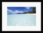 Tropical Beach by Anonymous