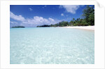 Tropical Beach by Anonymous
