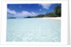 Tropical Beach by Anonymous