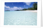 Tropical Beach by Anonymous