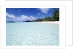 Tropical Beach by Anonymous