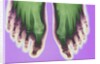 X-ray of Feet by Anonymous