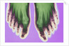 X-ray of Feet by Anonymous