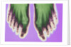 X-ray of Feet by Anonymous