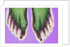 X-ray of Feet by Anonymous