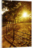 Sunrise in Central Park by Anonymous