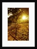 Sunrise in Central Park by Anonymous