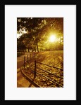 Sunrise in Central Park by Anonymous