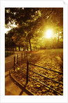 Sunrise in Central Park by Anonymous