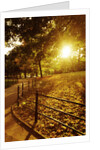 Sunrise in Central Park by Anonymous