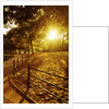 Sunrise in Central Park by Anonymous