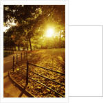 Sunrise in Central Park by Anonymous