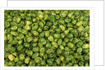 Habanero Chilies at the Central Market by Anonymous