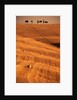 Bales in Rolling Fields by Anonymous