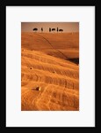 Bales in Rolling Fields by Anonymous