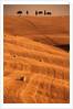 Bales in Rolling Fields by Anonymous