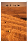 Bales in Rolling Fields by Anonymous