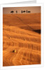 Bales in Rolling Fields by Anonymous